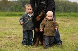 ENFANT ET CHIEN 394